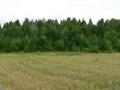 #4: South view