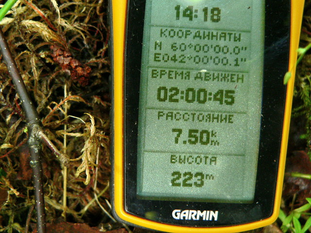 GPS reading