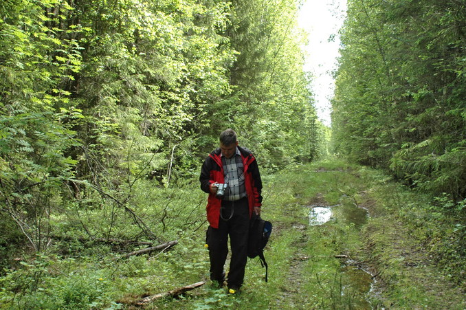 Logger's path near the CP