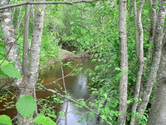 The confluent brook