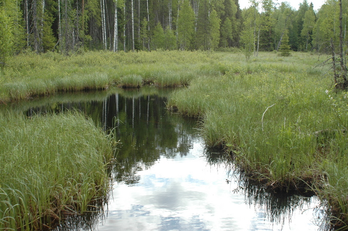 Shechiug river