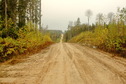 #7: Road, 3 km from CP / Отсюда пошли пешком