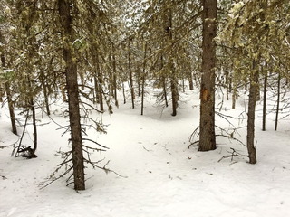 #1: The Confluence from 15 m distance