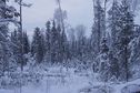 #6: Зимняя сказка/Winter fairytale