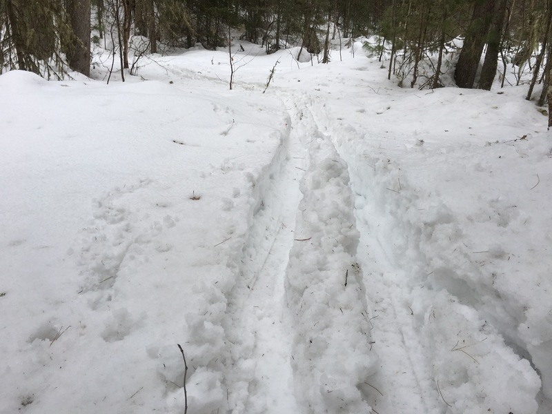 Our track through the deep snow / Наша лыжня в глубоком снегу