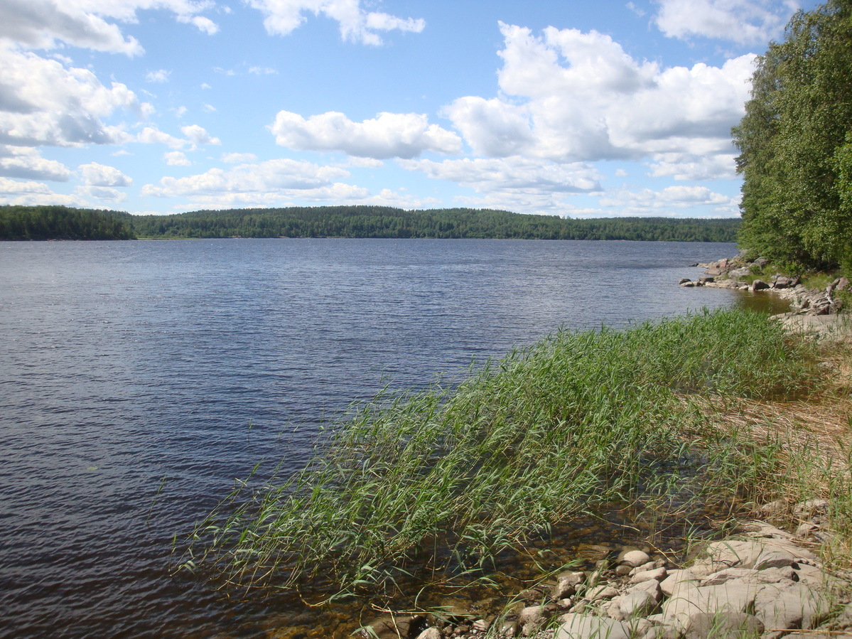 Река Вуокса / Vuoksa river