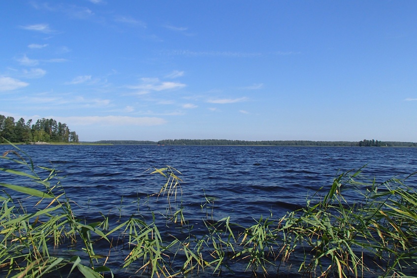 View to the east / Вид на восток