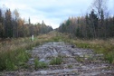 #9:  Causeway near the confluence / Гать неподалеку от пересечения