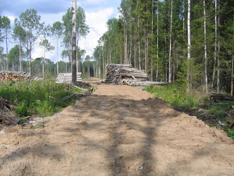 Plank-road