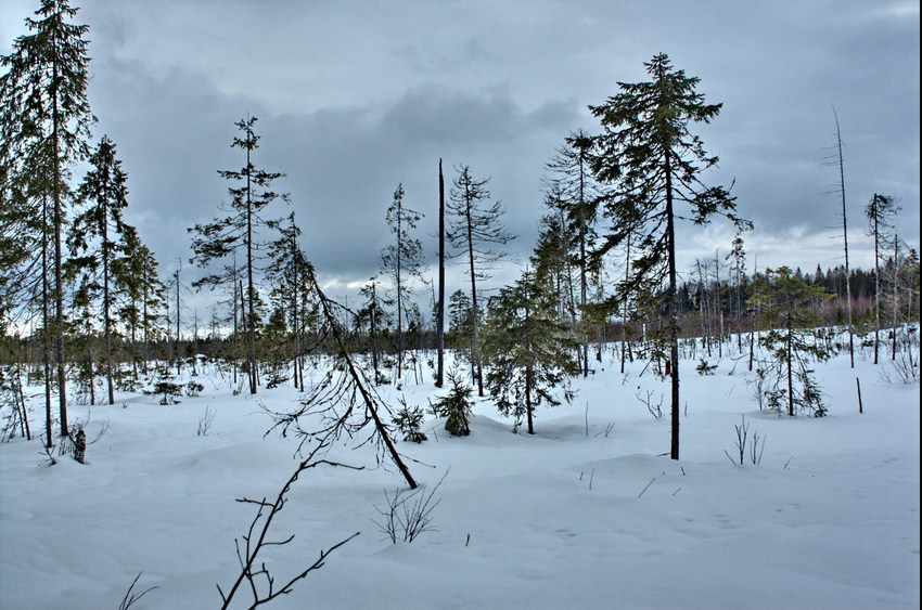 View near the confluence