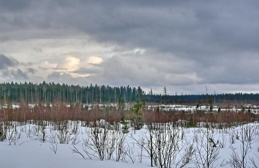 The confluence is on opposite side of the field (about 1km)/Цель - на другой стороне поля, примерно в километре.