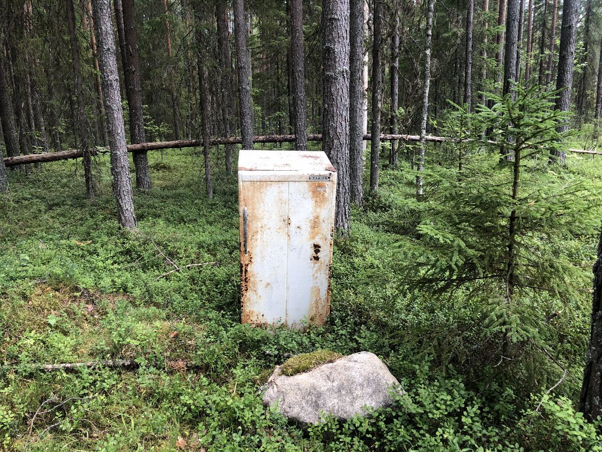 Fridge in the Middle of the Forest