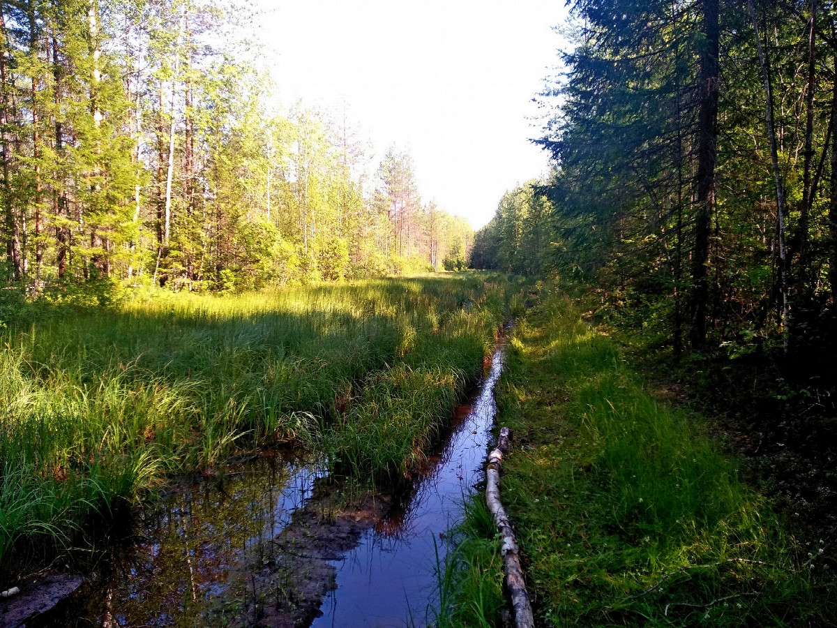 Wet places on our walking path