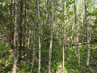 #4: South view