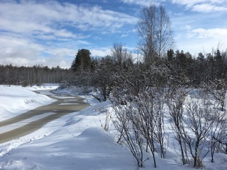 #1: The Confluence from 20 m distance. Talym rivulet. / Вид с 20 метров. Ручей Талым.