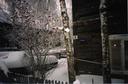 #3: A house right at the CP