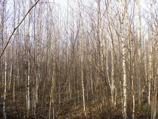 #1: North view