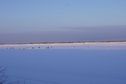 #8: Рыбаки на реке Обь/Fishermen on Ob' river
