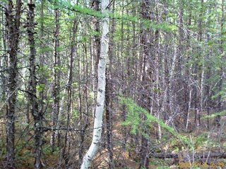 #1: North