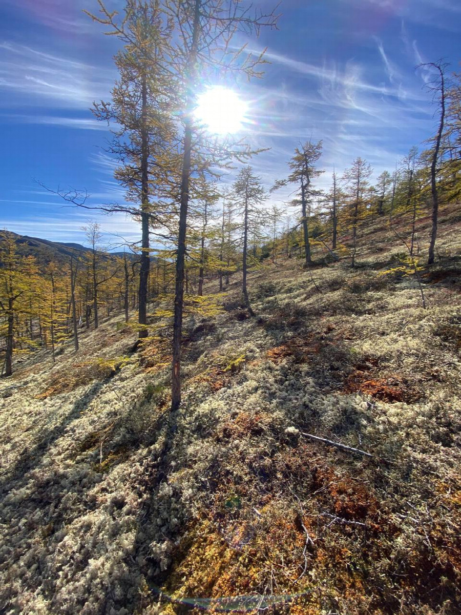 Вид на Юг / South view