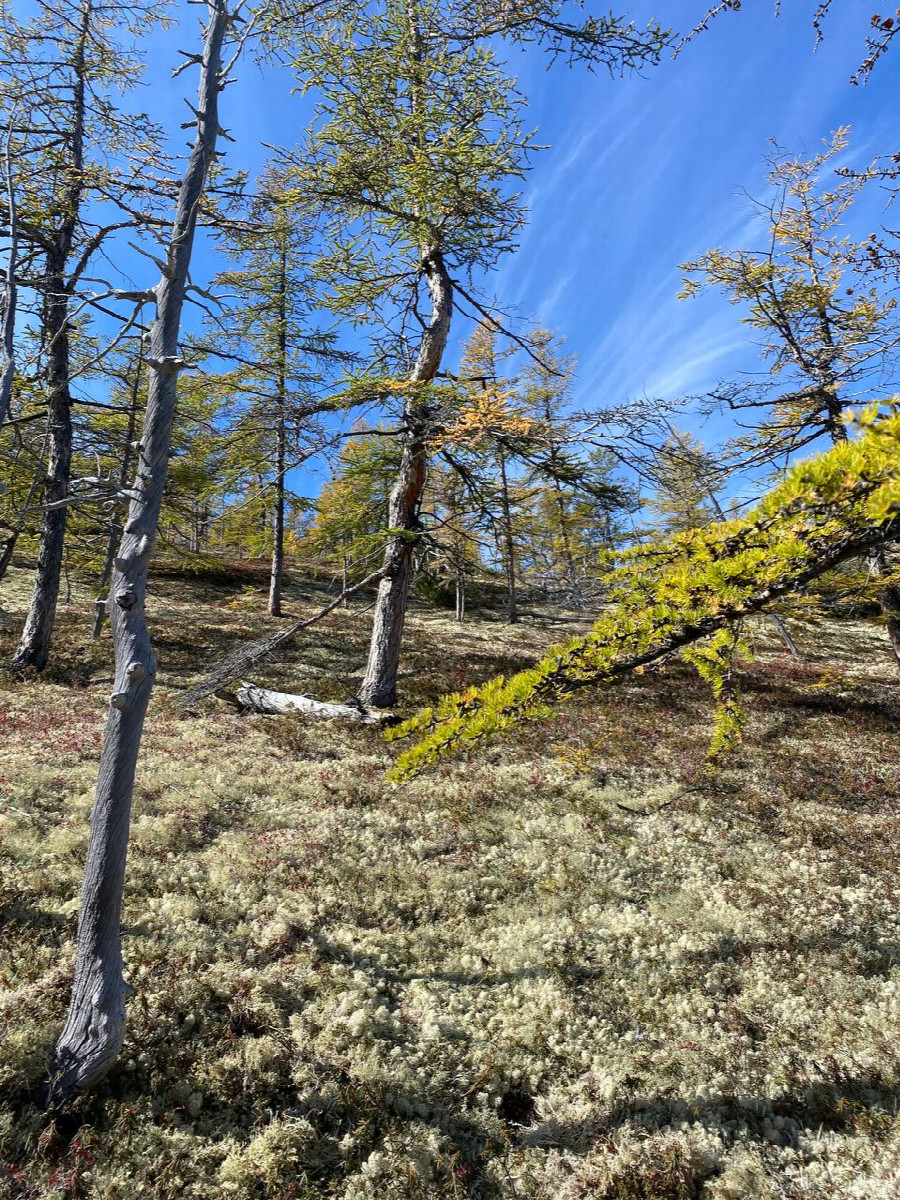 Вид на Запад / West view