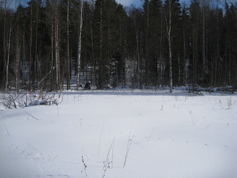 Вид с точки на восток/East view