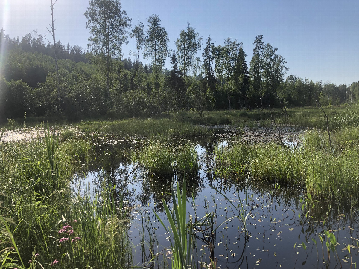 The Confluence from 10 m Distance