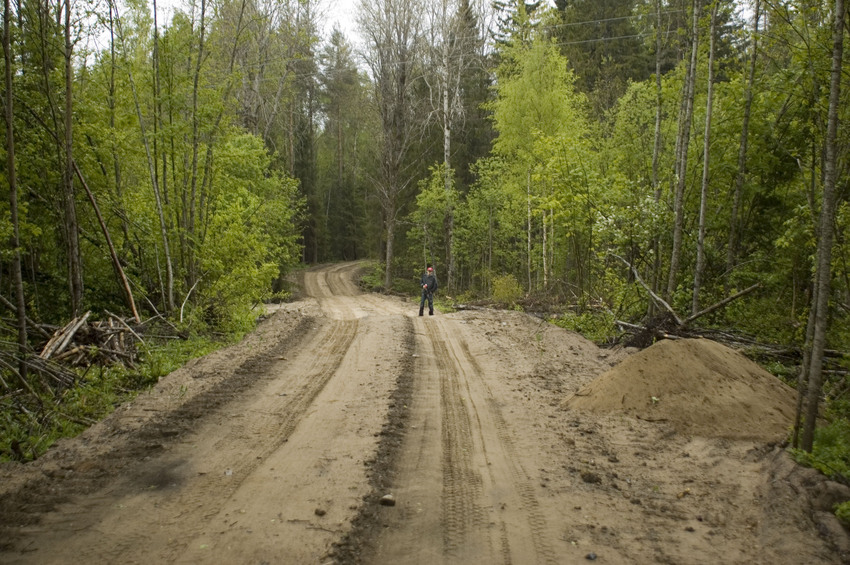 The road/Дорога назад