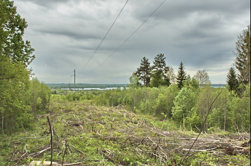 Kupetskoye lake is behind/Озеро Купецкое осталось сзади