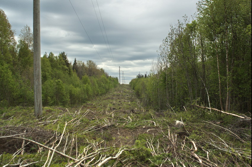 Along the Electric power line/Вдоль ЛЭП