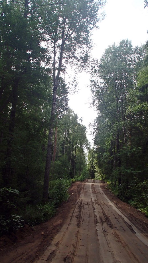 Road to the spot / Дорога к точке