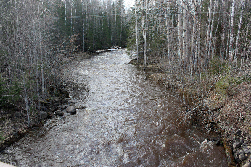 Stream not far from Kubovo / Ручей неподалеку от Кубово