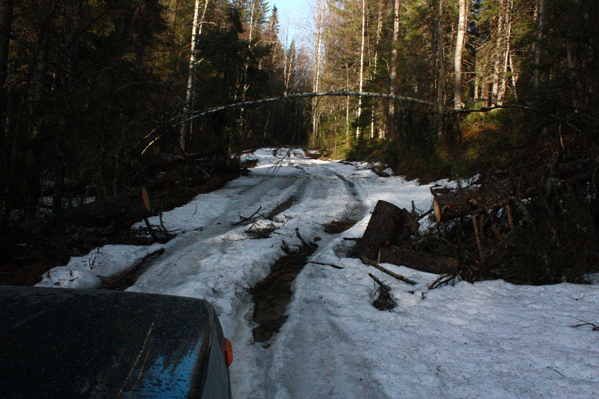 Typical road / Типичная дорога