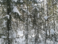 #2: East view