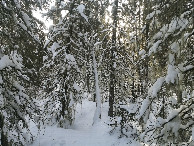 #3: South view