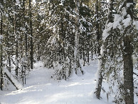#4: West view