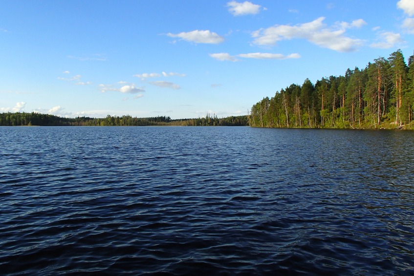 View to the north / Вид на север