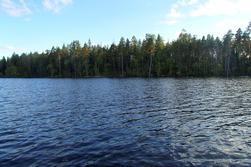 View to the south / Вид на юг