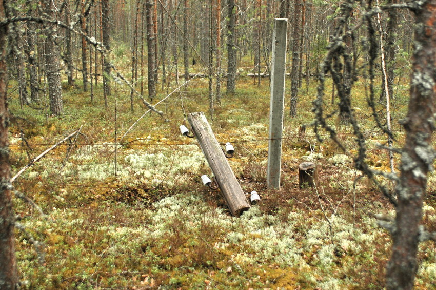 Sawn pylon/Подпиленный столб