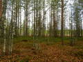 #2: Вид на север / View to North