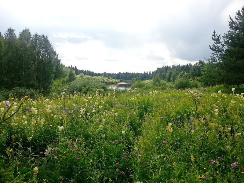 Вид на речку Весляна / Veslyana river