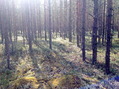 #4: Вид на юг / South view