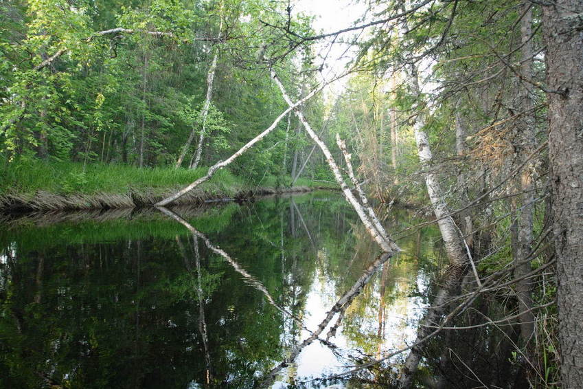 Речка в 5 км восточнее точки/The river, 5km to the east