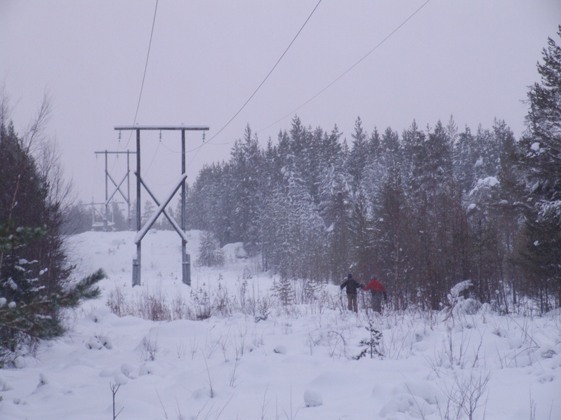 Просека ЛЭП / High-voltage line glade