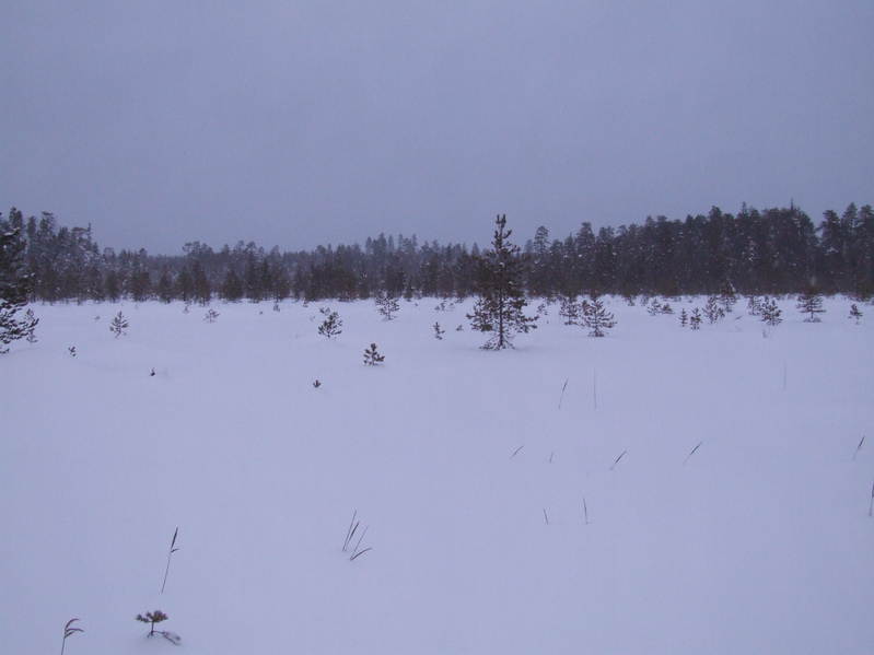 Вид на север / View to North