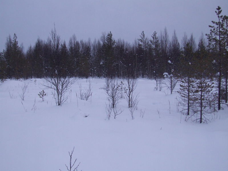 Вид на восток / View to East