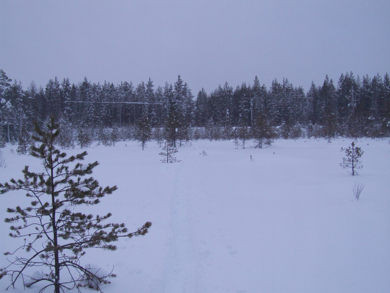 Вид на запад / View to West