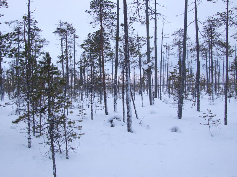 Вид на юг / View to South