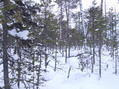 #2: Вид на восток / View to East