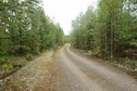 #7: Road